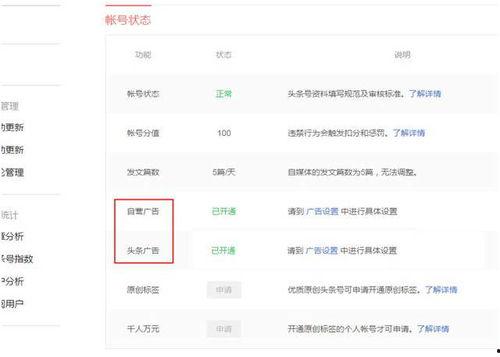 头条发视频怎么选领域,如何精准选择领域，打造爆款内容